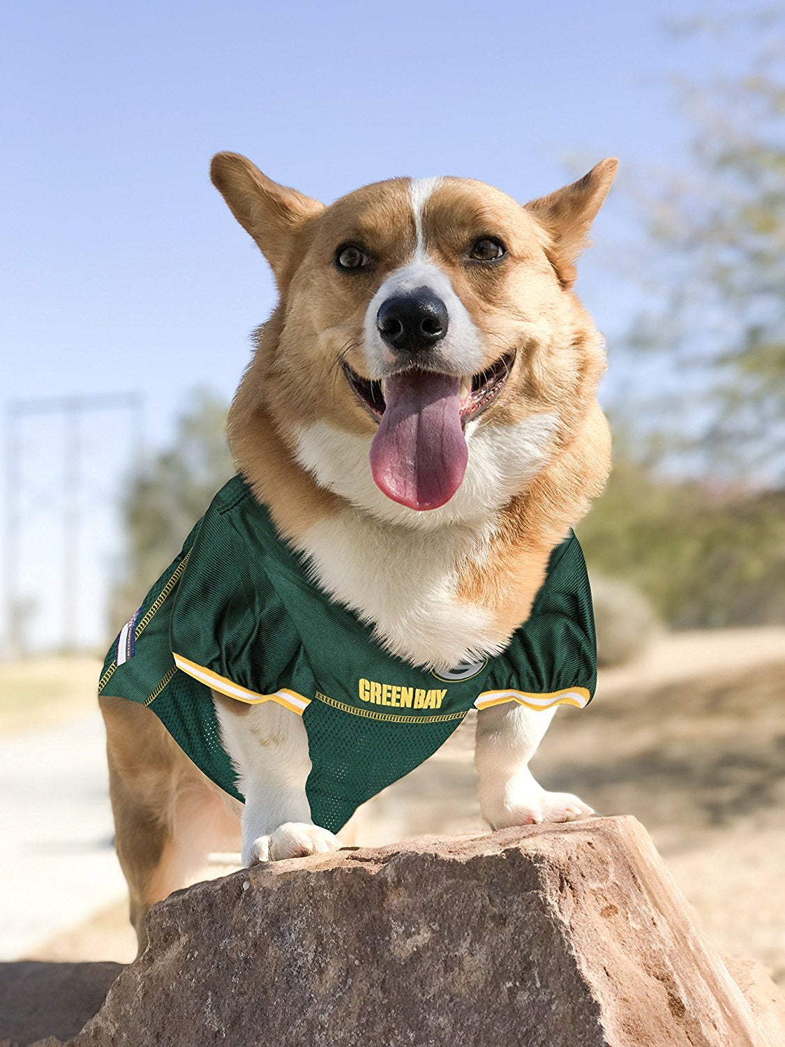 Pets First NFL Licensed Jersey for Dogs & Cats - Available in 32 Teams 7 Sizes