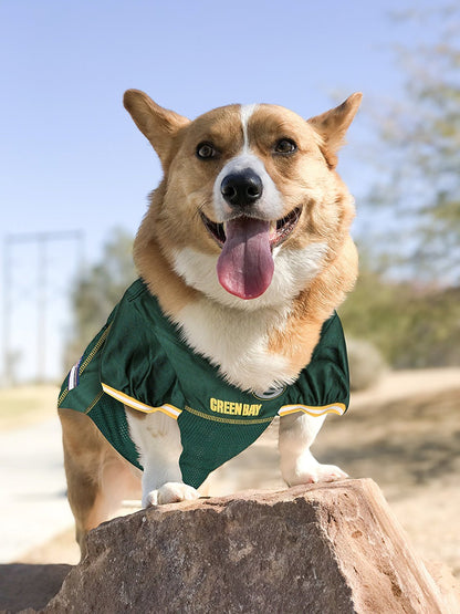 Pets First NFL Licensed Jersey for Dogs & Cats - Available in 32 Teams 7 Sizes