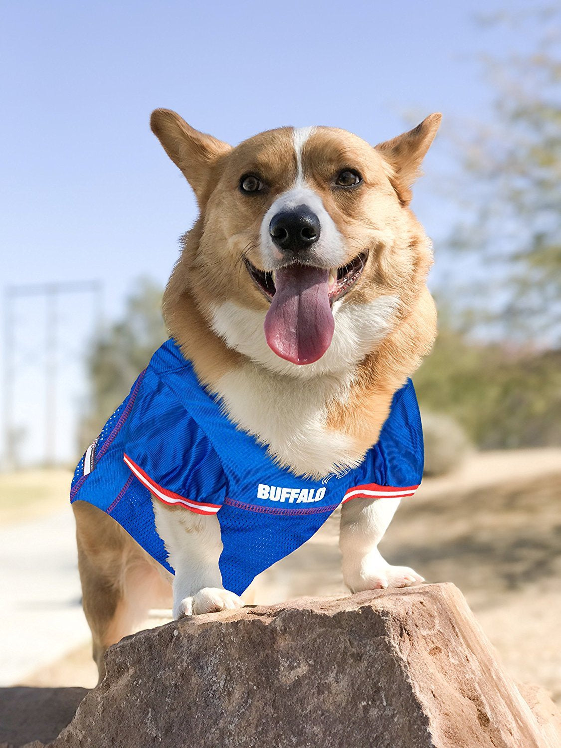 Pets First NFL Licensed Jersey for Dogs & Cats - Available in 32 Teams 7 Sizes