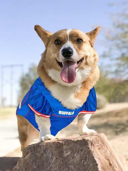 Pets First NFL Licensed Jersey for Dogs & Cats - Available in 32 Teams 7 Sizes