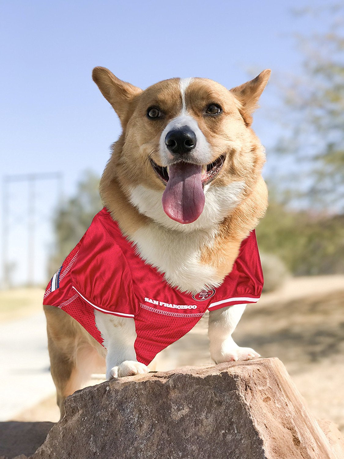 Pets First NFL Licensed Jersey for Dogs & Cats - Available in 32 Teams 7 Sizes
