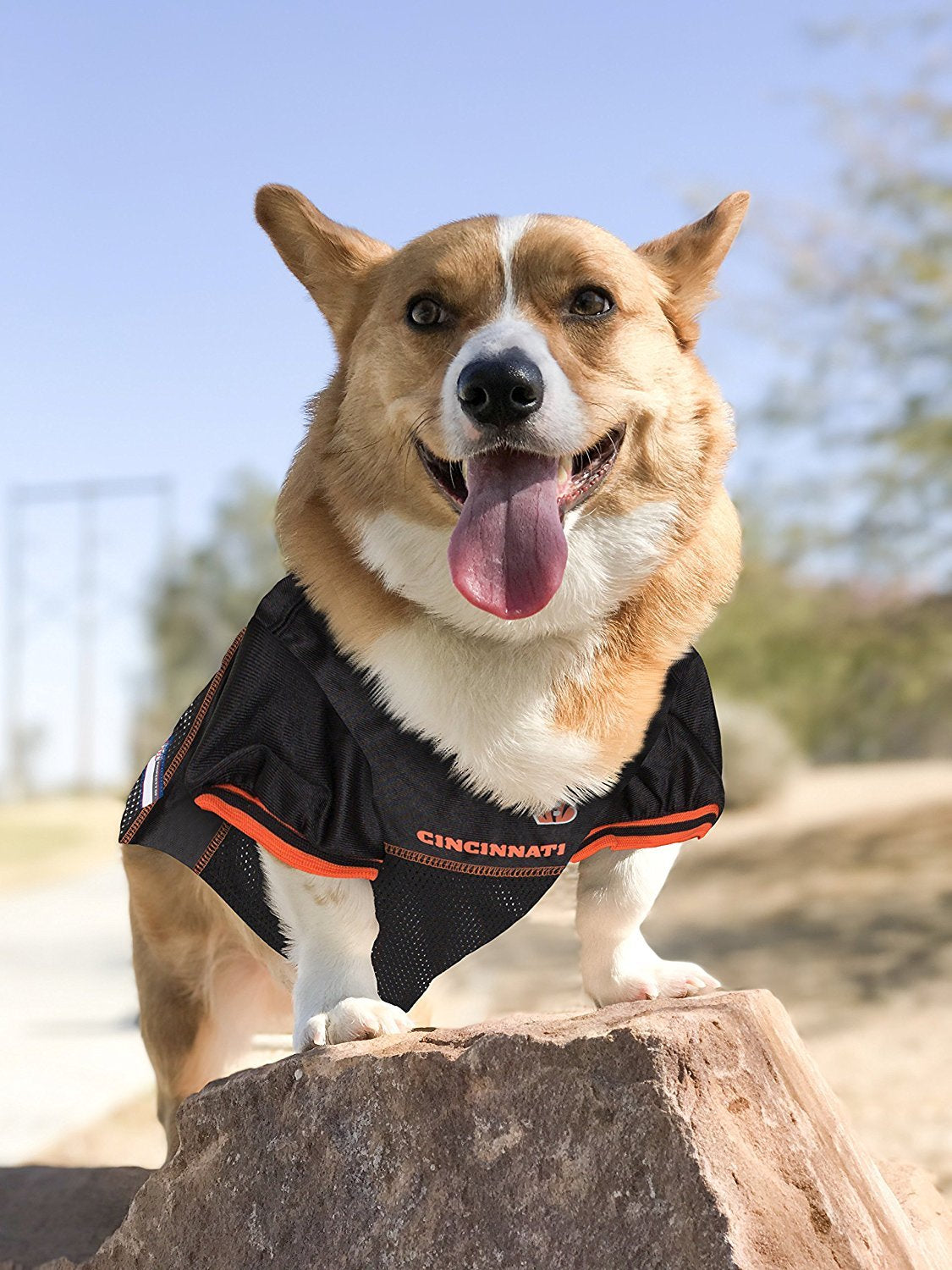 Pets First NFL Licensed Jersey for Dogs & Cats - Available in 32 Teams 7 Sizes